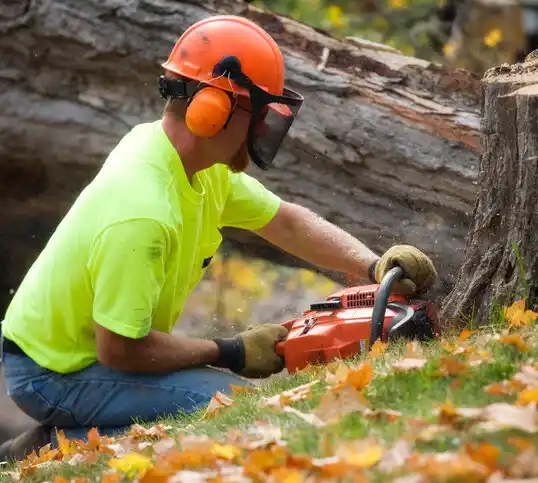 tree services Seaford